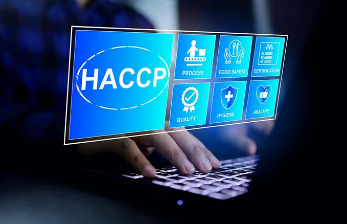 安全与高效并存：EIP 接入服务在企业数字化转型中的核心作用